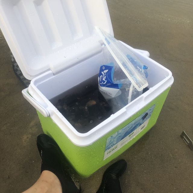 양양 남애항에서 즐긴 물놀이🌊 그리고 횟집 추천!