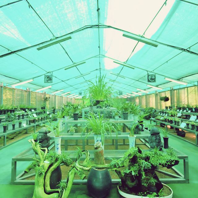 🌳 제주시내에서 가까운 숲캉스 명소, 한라수목원