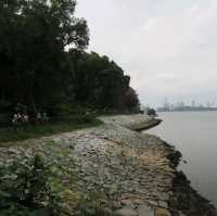 Nature @ Sungei Buloh Wetland Reserve