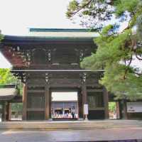 Meiji Shrine @Shibuya Tokyo