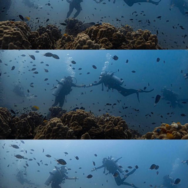 ไปเรียนดำน้ำ OPEN WATER ที่เกาะเต่ากัน🐢
