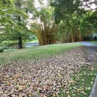 周未行山好去處-mount coot botanic garden 