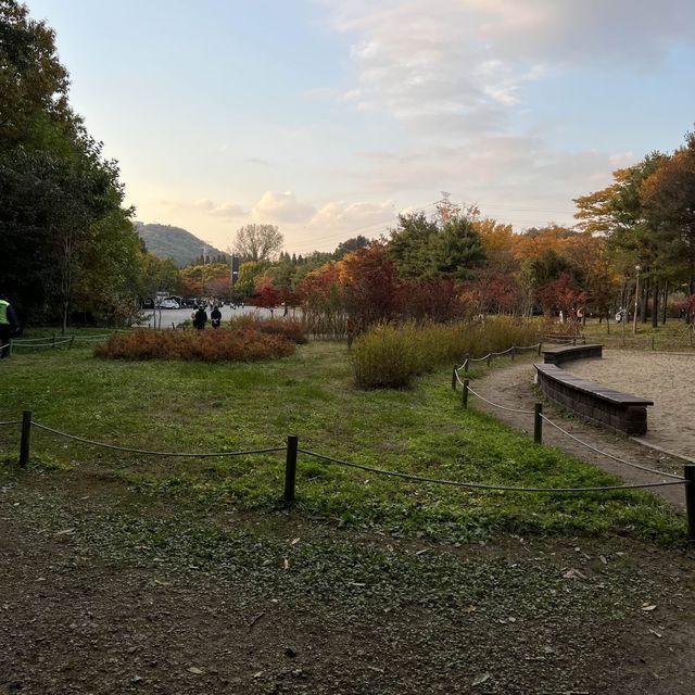 Colorful trees in autumn season