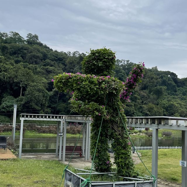 三角梅花展蝶豆花園之旅