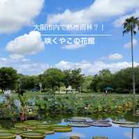 【大阪】市内で熱帯雨林が体験できるスポット！