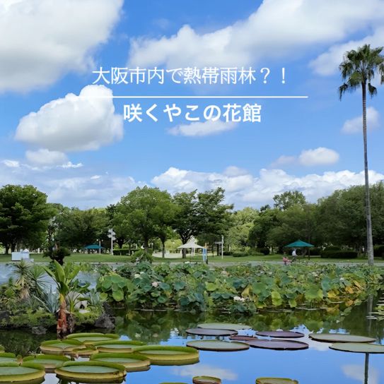 【大阪】市内で熱帯雨林が体験できるスポット！
