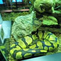 Aquaria Phuket