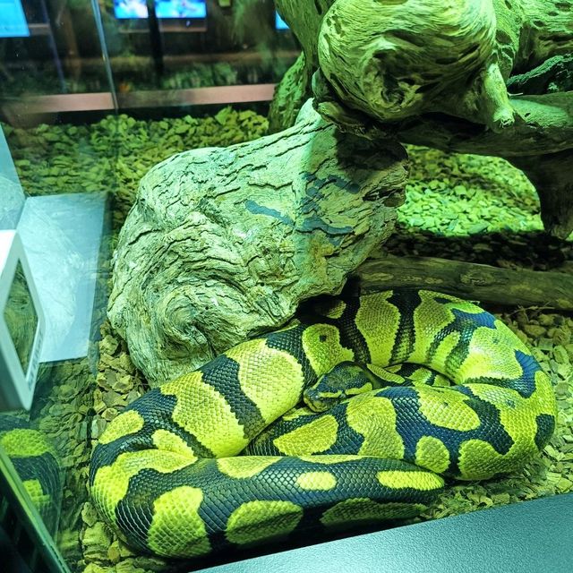 Aquaria Phuket