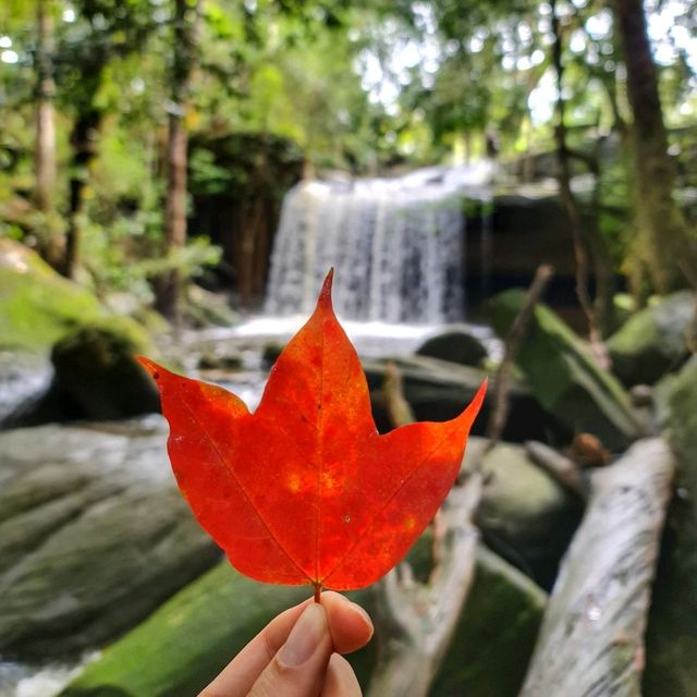 ภูกระดึง มนต์เสน่ห์แห่งเมืองเลย 🌄