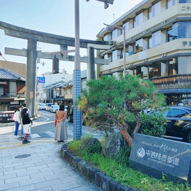 宇治抹茶クリームソーダ　ますだ茶舗