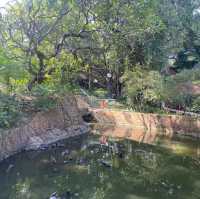 古色古香九龍公園