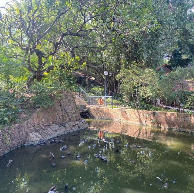 古色古香九龍公園