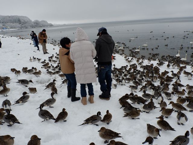 Lake inawashiro , Fukushima 