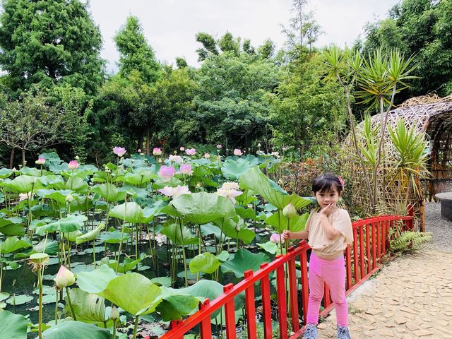 桃園景點-蓮荷園休閒農場