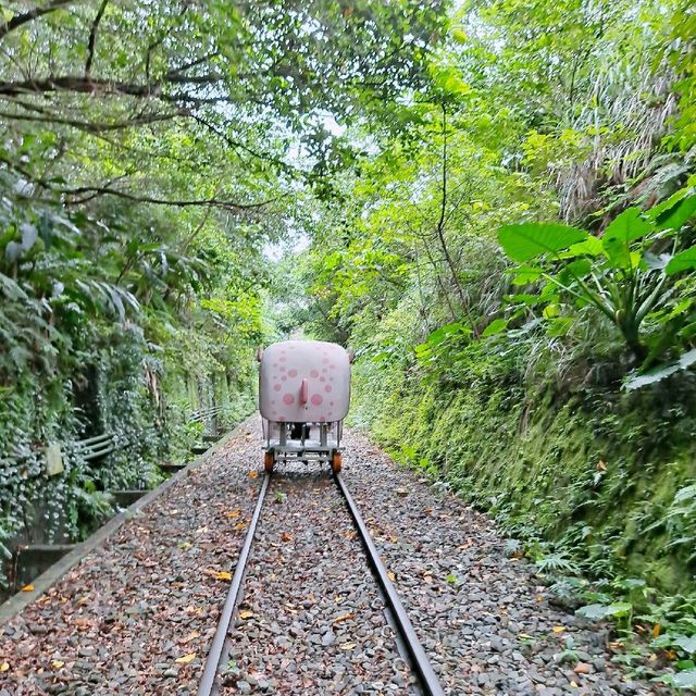 深澳 | 鐵道自行車之旅，踩著超萌的河豚車進入迷幻的鯨魚隧道吧

