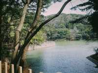 부산 어린이대공원