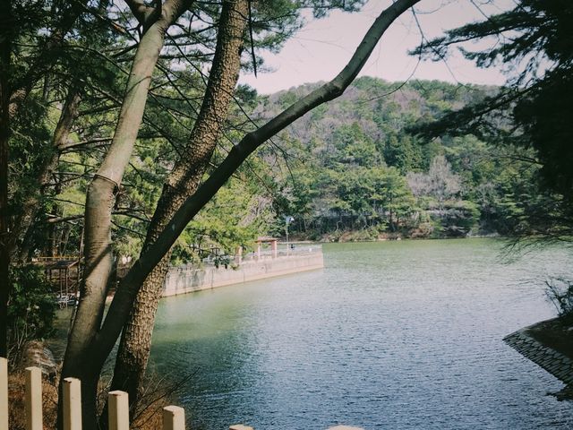 부산 어린이대공원