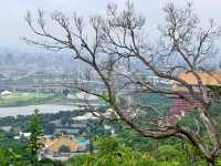 台北劍潭山登山步道｜老地方觀景平台🏔IG熱門打卡景點