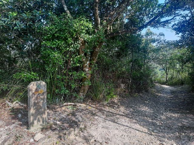 簡單靚景 - 鹿頸至大尾篤
