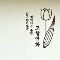[부산 기장] 돈까스가 정말 맛있는 ‘고양연화’