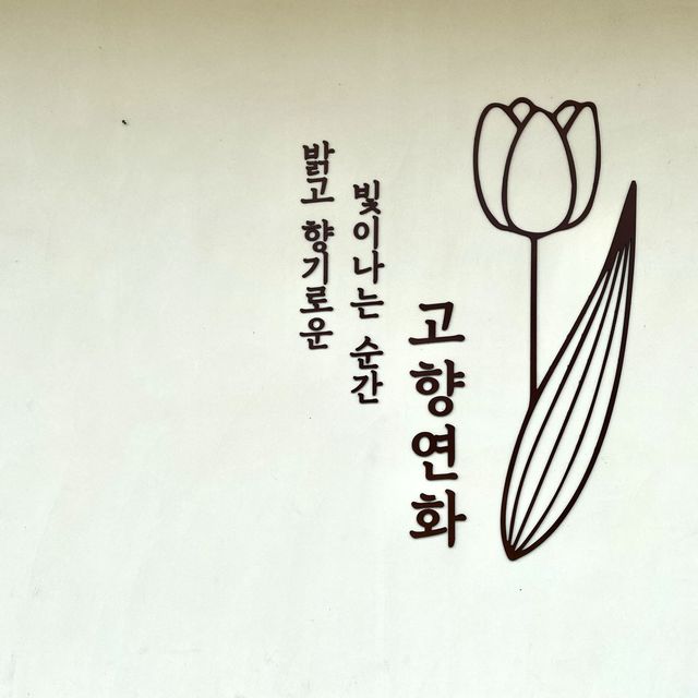[부산 기장] 돈까스가 정말 맛있는 ‘고양연화’