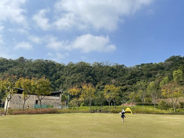 草地狂奔吧