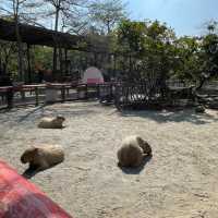 台南人小時候必去的動物園