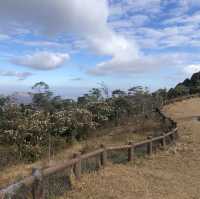 👨‍👩‍👧‍👦合家歡行山路線🥾大帽山家樂徑