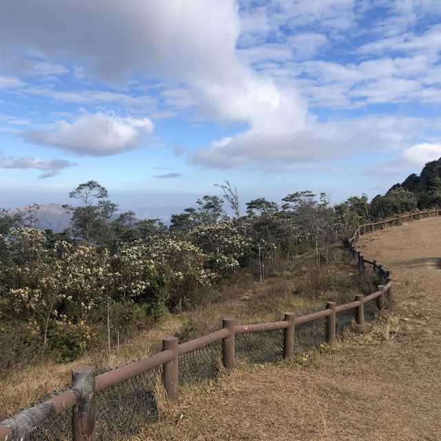 👨‍👩‍👧‍👦合家歡行山路線🥾大帽山家樂徑