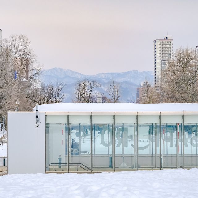 冬の札幌大通り公園の様子