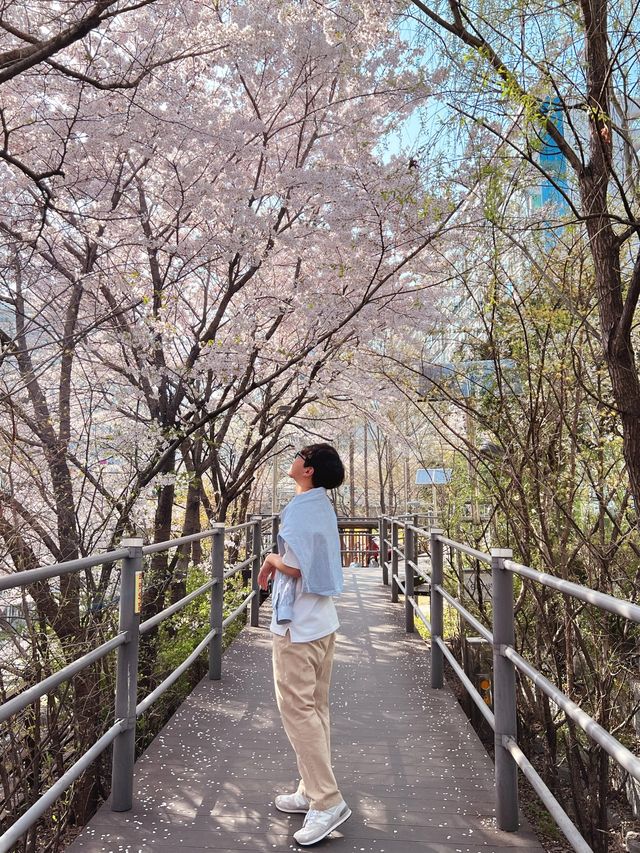 북한산과 정릉천이 이쁜 산책길 ‘정릉산책길’