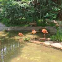 Nanshan Bamboo Sea