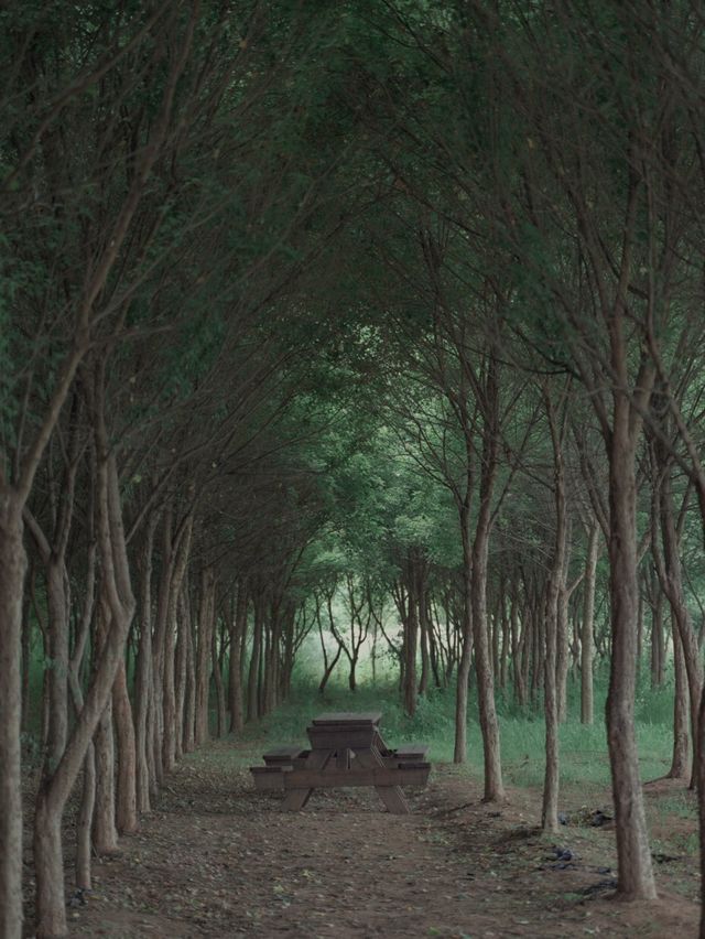 아그로랜드 수레국화 보러 나들이 가요 💙