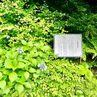 
赤穂浪士終焉の地

毛利庭園