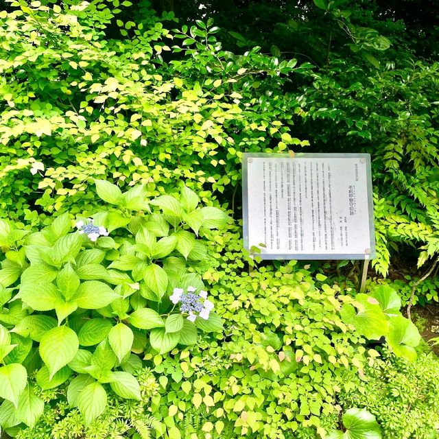 
赤穂浪士終焉の地

毛利庭園