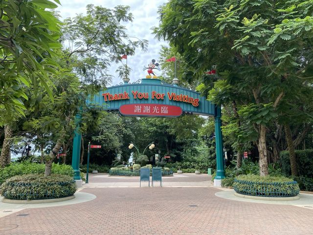 迎樂路賞花好去處