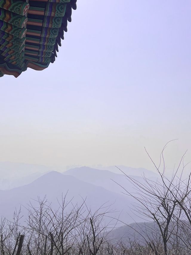 등산 한번도 안해봤어도 정상까지 갈 수 있어요! 인천 계양산✨
