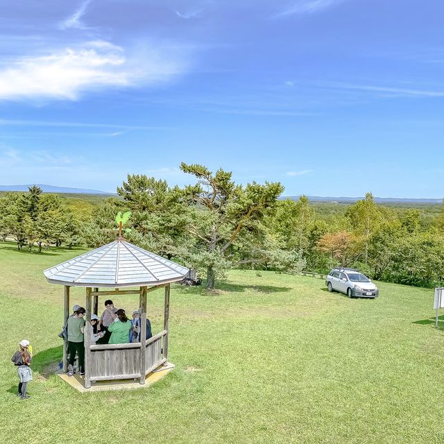 夏の十勝牧場展望台
