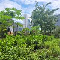 Urban Farm at Funan