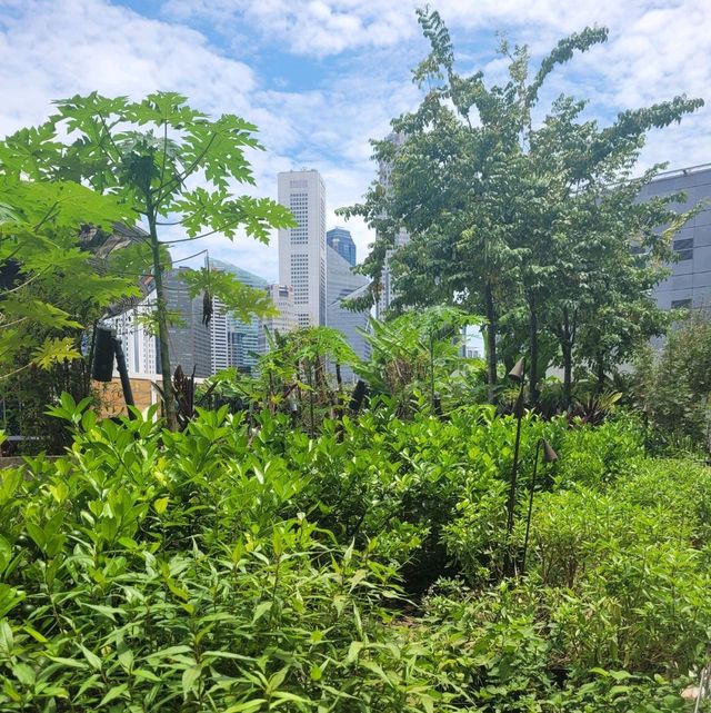 Urban Farm at Funan