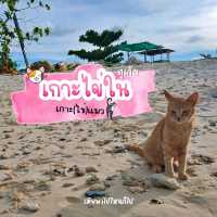 เกาะไข่ใน เกาะแมว สวรรค์ของเหล่าทาสแมว