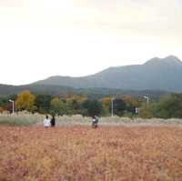 Nari Park Yangju