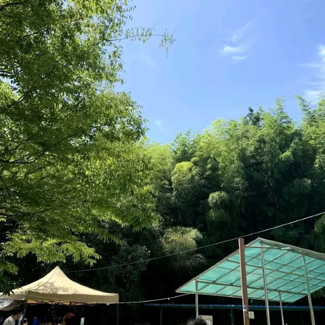 picnic ở Đảo Con Rùa