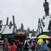The Wizarding World of Harry Potter 