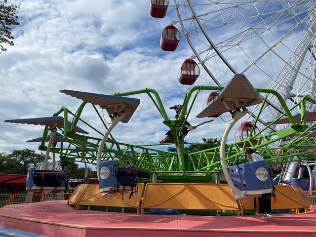 小さい子向きな遊園地！🎡