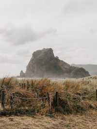 Rocks and Sea