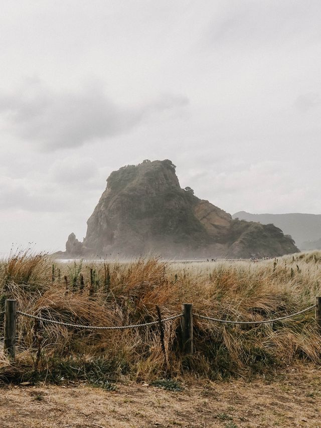 Rocks and Sea