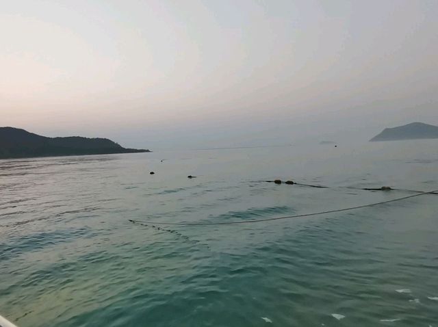 เกาะแสมสาร