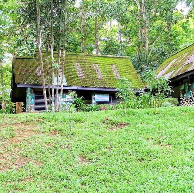 อุทยานแห่งชาติไทรโยค