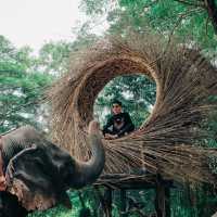 มองช้างคาเฟ่ สไตล์ซาฟารีคาเฟ่ อยู่พัทยานี่เอง